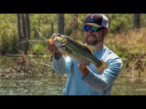 How to Fish