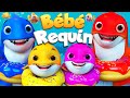 Requin Bébé et Ses Aventures - Chansons pour bébés - Comptines @MiloCartoonLEFrançais