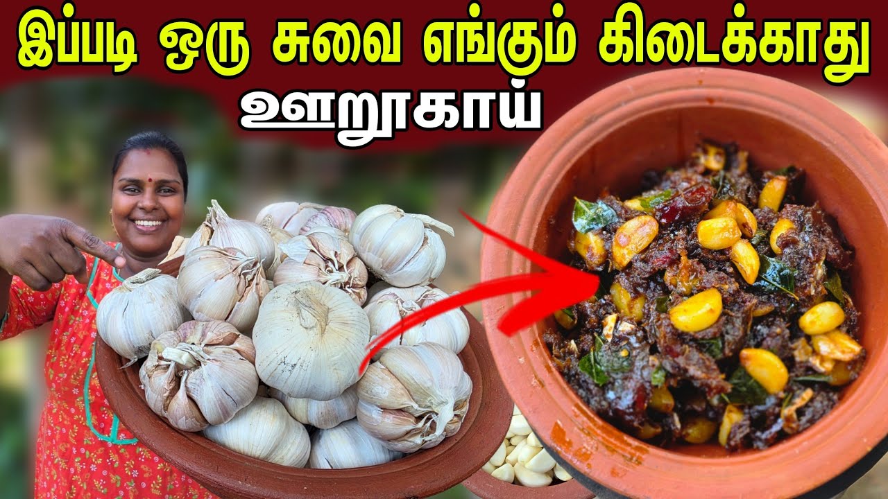 நீங்களும் இலகுவாக ஊறுகாய் செய்யலாம் | village life | vanni vlog