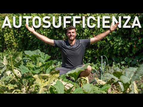 Food SELF-SUFFICIENCY ALL YEAR ROUND, here is what to grow
