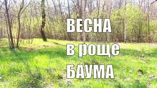 Встречаем весну в Алматы