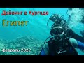 Прилетели в Египет/Дайвинг в Красном море/Хургада/февраль 2022