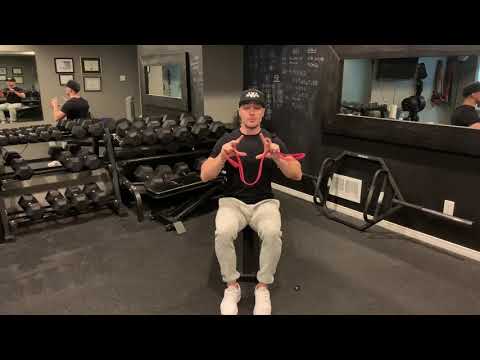 Seated Band Pull Aparts