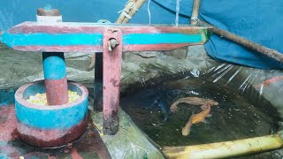 water powered pounder corn live