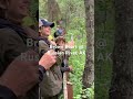 Brown Bears at Russian River, Alaska