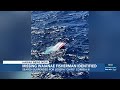 Coast Guard suspends search for missing fisherman off Waianae