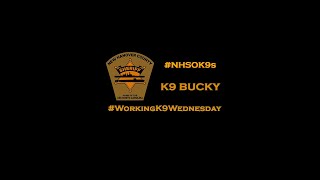 #WorkingK9Wednesday with K9 Bucky Reel