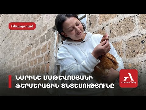 «Արցախից բերված մի բուռ հողը ծիլ է տվել». արցախցի Նարինե Մաթևոսյանը Շղարշիկ գյուղում ֆերմա է հիմնել