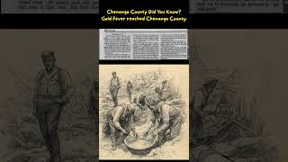 Chenango County Did You Know Gold Fever reached Chenango County