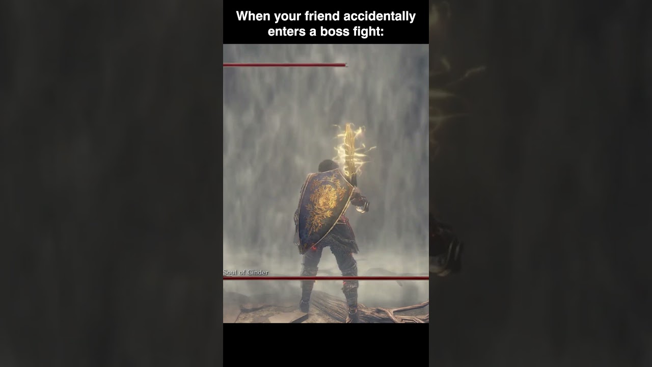 When your friend accidentally enters a boss fight #darksouls3