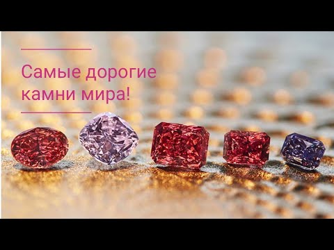 20 самых редких