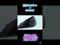 流行りのやつとSwitch2の映像を合わせてみた! #流行り #ばずれ #switch2