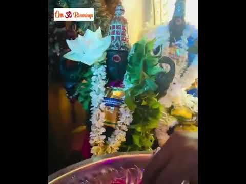 Goddess sathpathini Puja @ Dhana laxmi Devasthanam