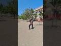 Shade | Ajaypal Aulakh | Kanishtha Sharma | Rony Ajnali , Gill Machhrai | #dance #trending #shorts