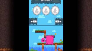DSi ware Color Commando