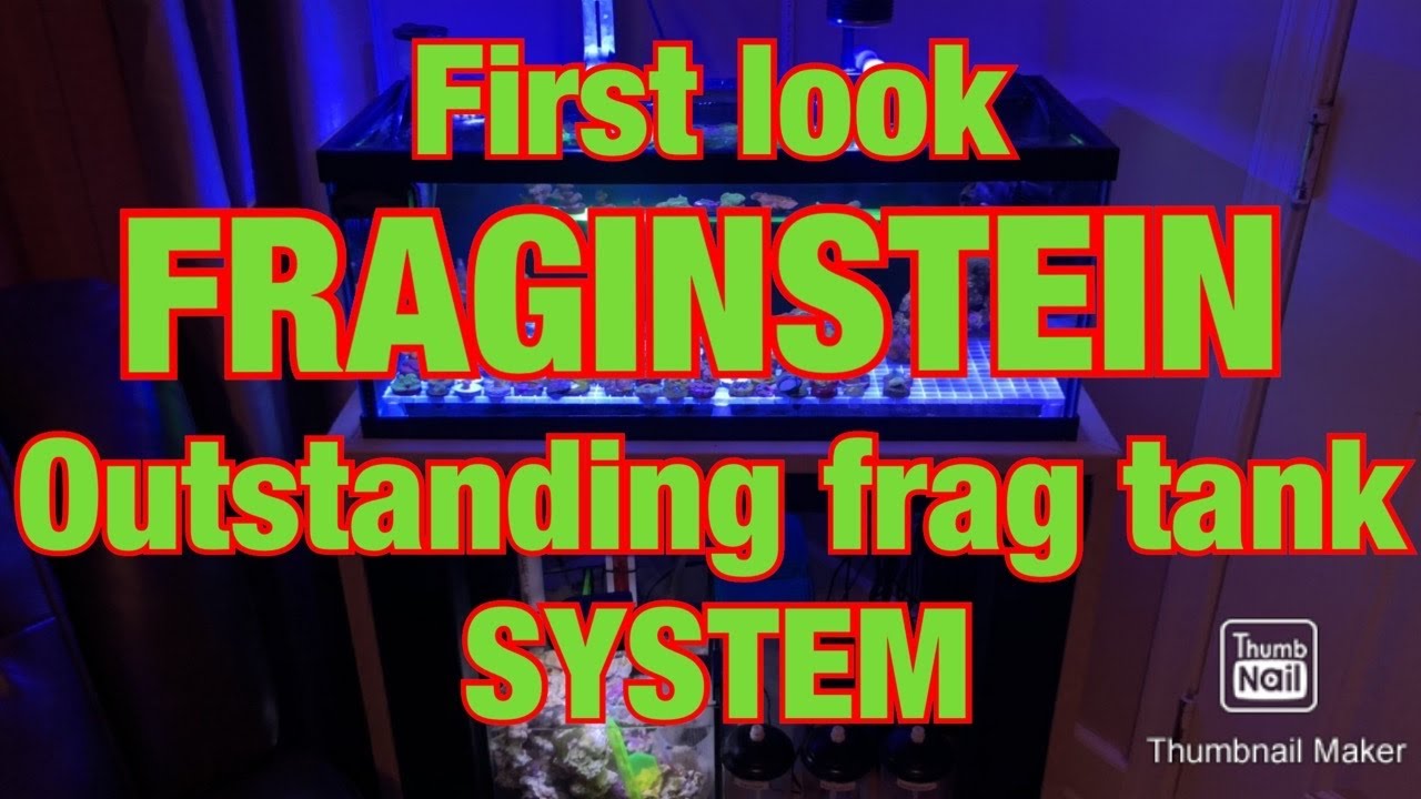 Frag tank (first look) AKA FRAGINSTEIN