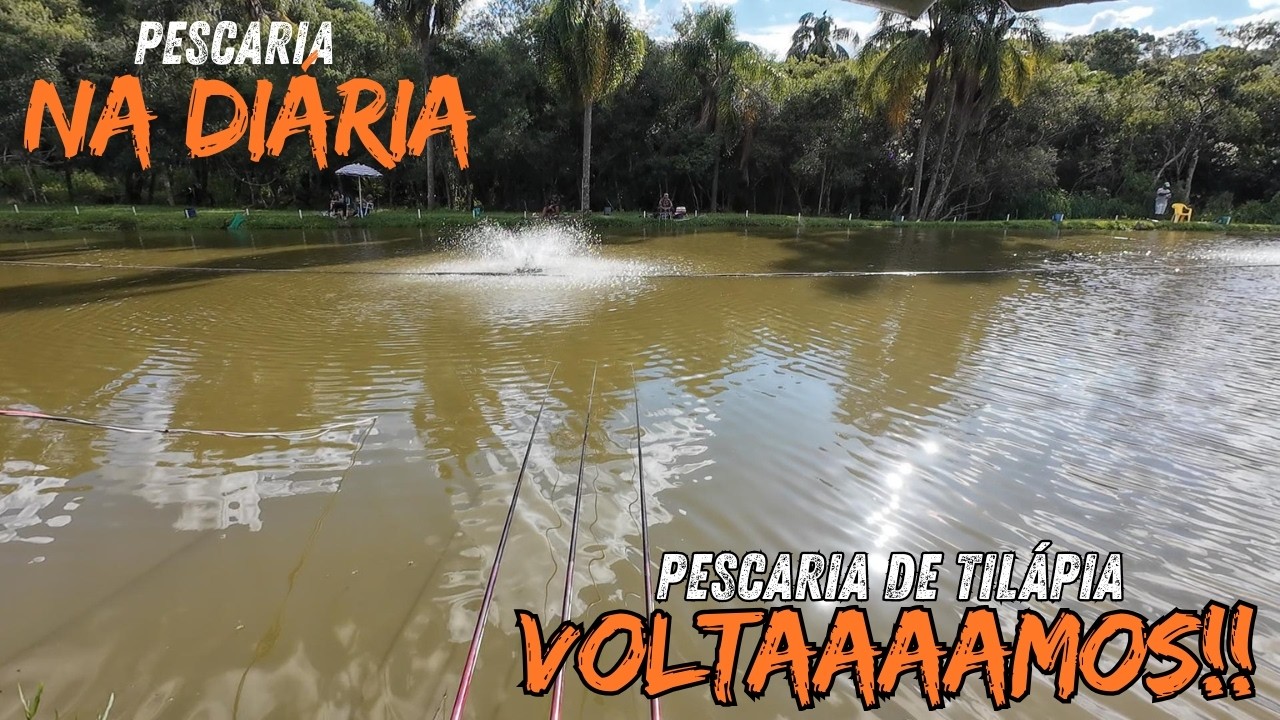 VOLTAMOS COM UMA PESCARIA DE VARINHA TOOOP! PESCARIA DE TILÁPIA NA DIÁRIA !