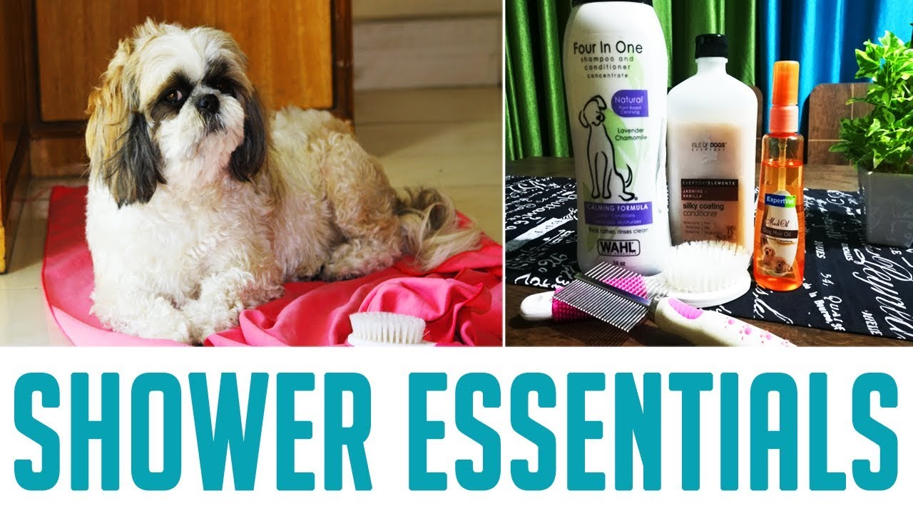 best dog shampoo for shih tzu