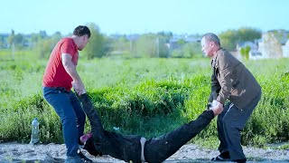 картинка: 😱 Нега ёш йигитни машина орқасига боғлаб судрадилар? Она ларзада! | Voqea joyi