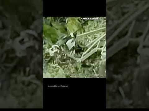 Ukrainian Ground Drone Captured Russian Machine Gun #warinukraine