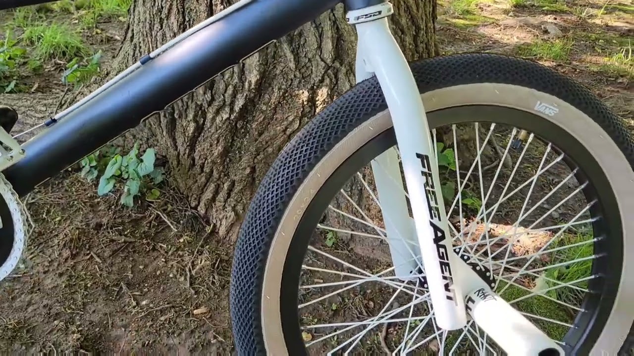 2002 Free Agent Tiger Cat