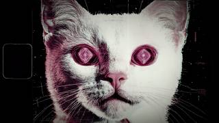 J. Cole x Griselda Type Beat - DIRTY CATS | Dark Storytelling Dirty Boom Bap Beat