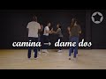 Rueda de Casino -  Camina - Dame Dos (Intermediate)