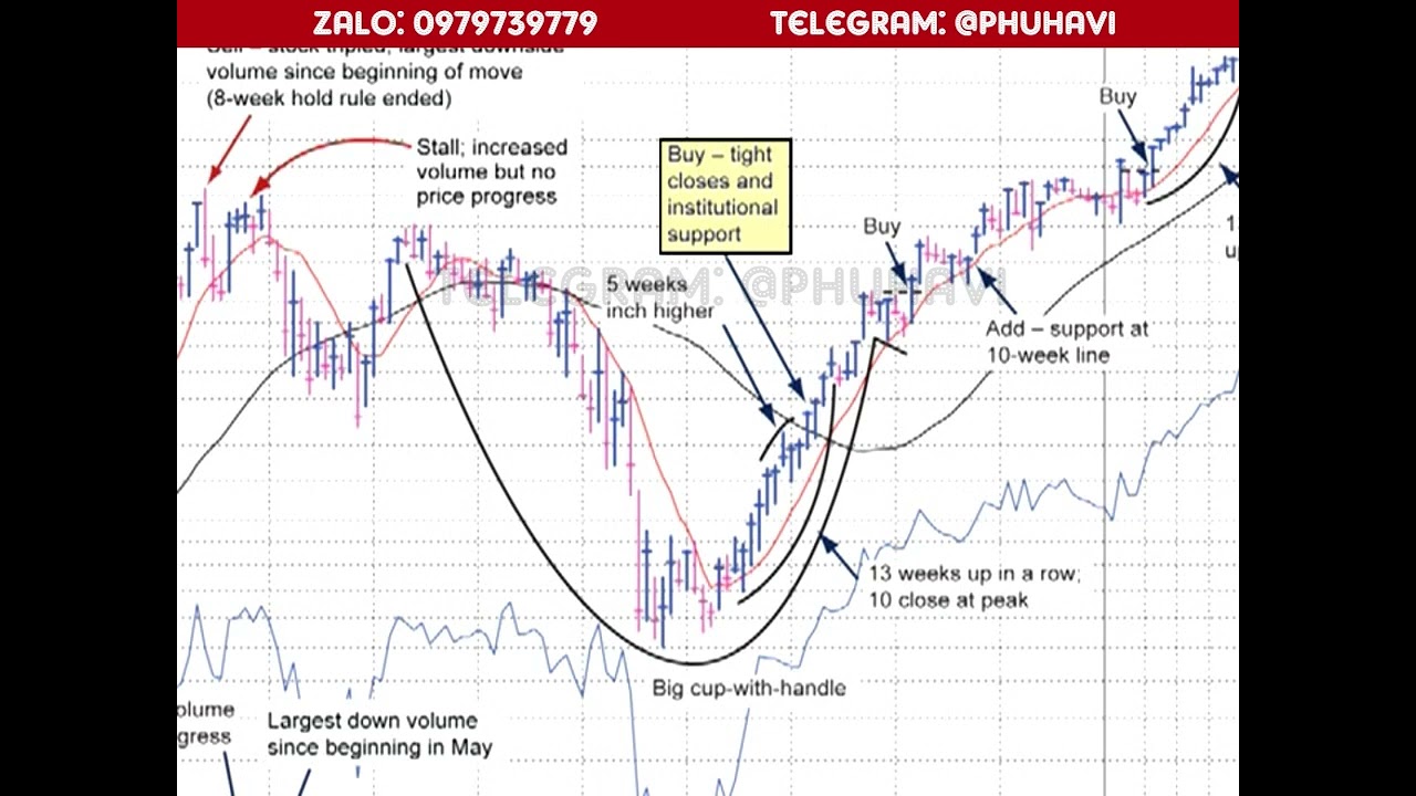Outline Video IBD LV8 0105 MODEL STOCK ANALYSIS