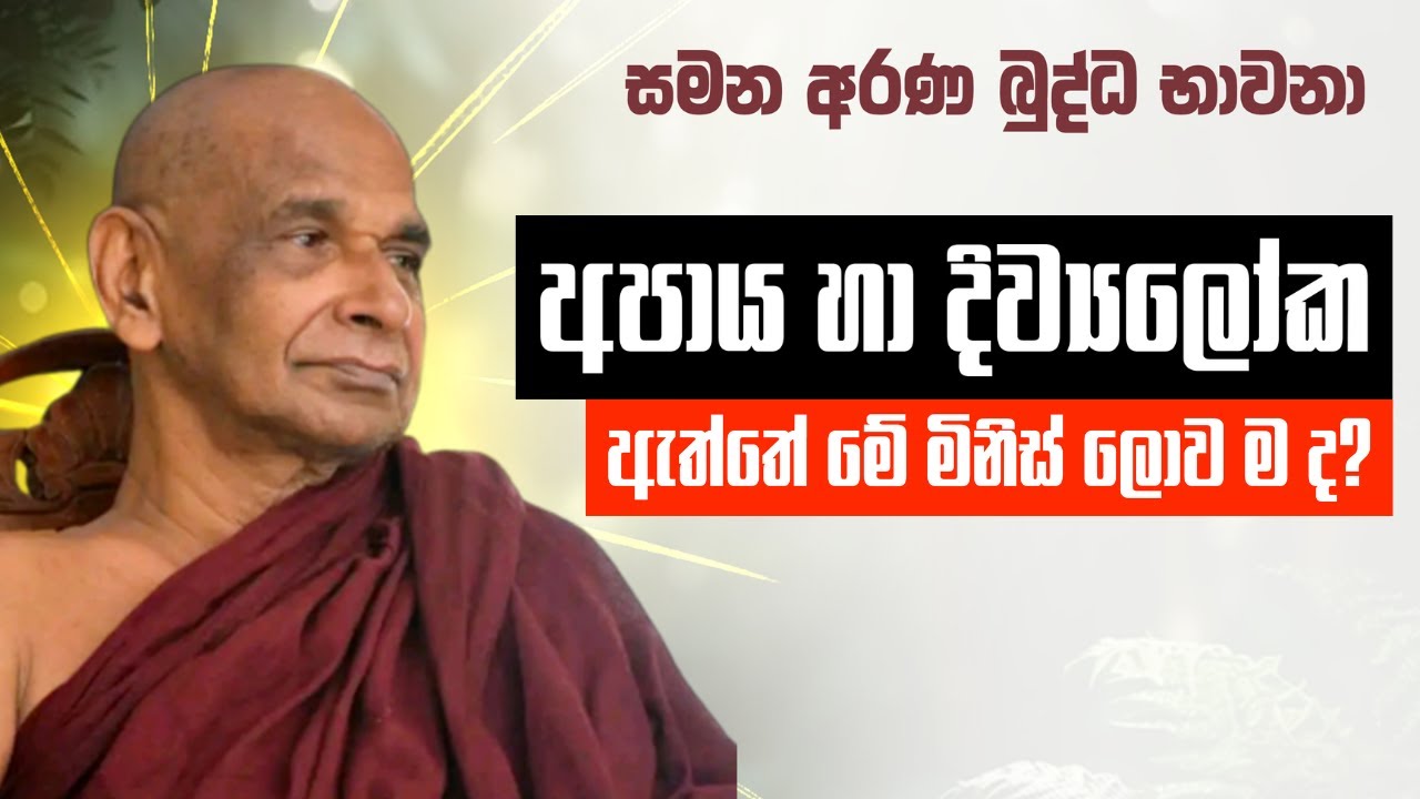 අපාය හා දිව්‍යලෝක ඇත්තේ මේ මිනිස් ලොව ම ද ?  | Sadaham Teekawa