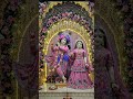 #radhakrishna #radhrani #premanandjimaharaj r#radheshyam