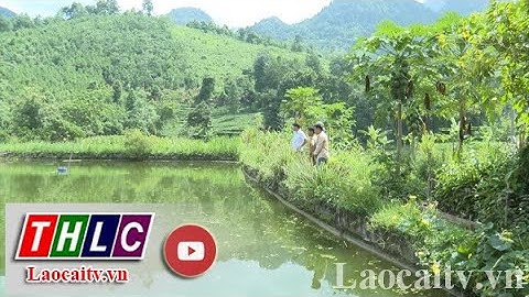 Giúp nông dân tiếp cận và sử dụng hiệu quả nguồn vốn vay ưu đãi | THLC