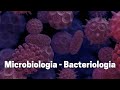 Curso Gratuito de Microbiologia - Bacteriologia