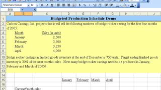 Budgeted Production Schedule