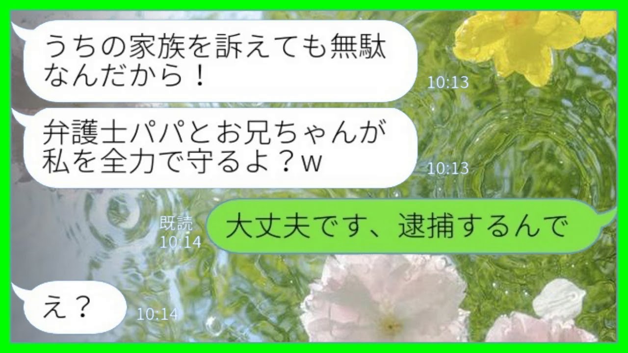 【LINE】弁護士一家の婚約者の実家に結婚挨拶に行くと義妹に突然殴られた→義妹「うちの家族を訴えても無駄だからw」→この後、ある真実を知った義妹が青ざめるwww【総集編】