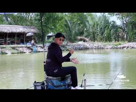 Trốn Vợ Đi Câu Cá | Chung Nguyễn Fishing | Test Cần GUF Hắc Bạch