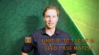 Unit 9: Exercise 1.1c Leaf and Seed Case Match