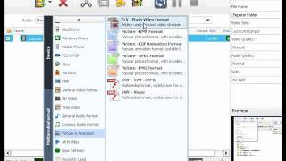 Convert SWF to FLV dgn Xilisoft Video Converter