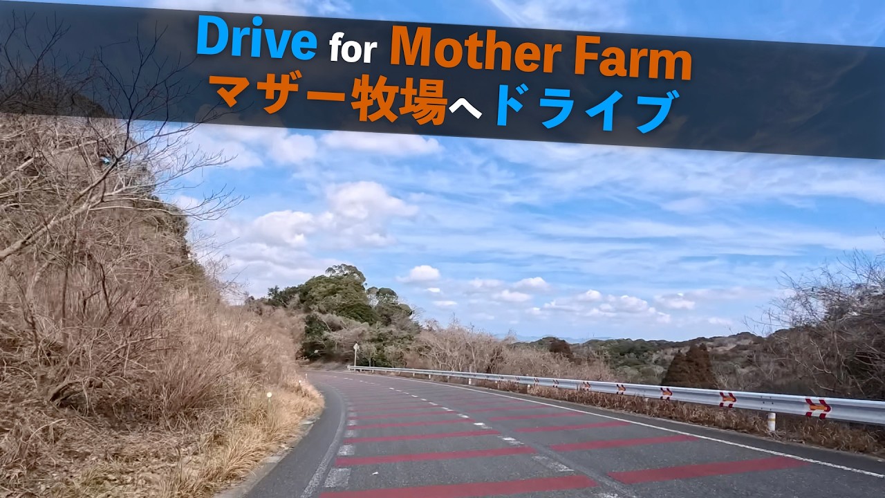 千葉 - マザー牧場へドライブ 東京湾岸道路 | 4K 60fps HDR | ゆったりlofi musicとともに