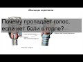 Почему пропадает голос, если нет боли в горле?