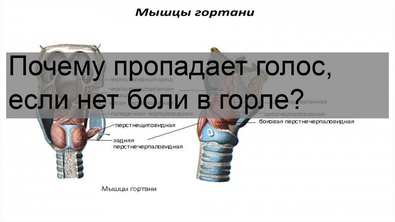 Почему нету данных. Пропавший голос. Если пропал голос. Отчего пропадает голос.