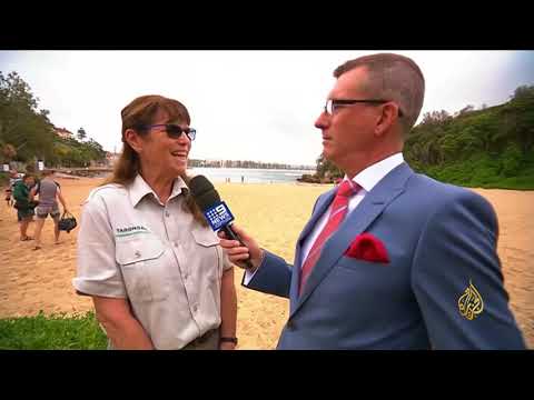 هذا الصباح حديقة حيوان أسترالية تحتفي بشفاء طيور البطريق