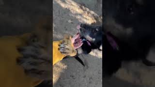 Pöri und Mayev (Oktober 2024)