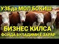 МОЛ БОКИШ ФОЙДА ЁКИ ЗАРАР