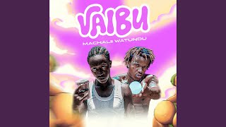 vaibu (Extended Version)