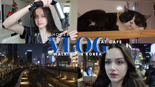 VLOG / Skincare routine / Walking in Korea / Haribo Museum / Cat Cafe