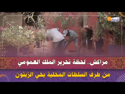 مراكش لحظة تحرير الملك العمومي من طرف السلطات المحلية بحي الزيتون