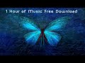 New Age Music; Relaxing Music: Musica New Age, Relaxation Music; Peaceful Music