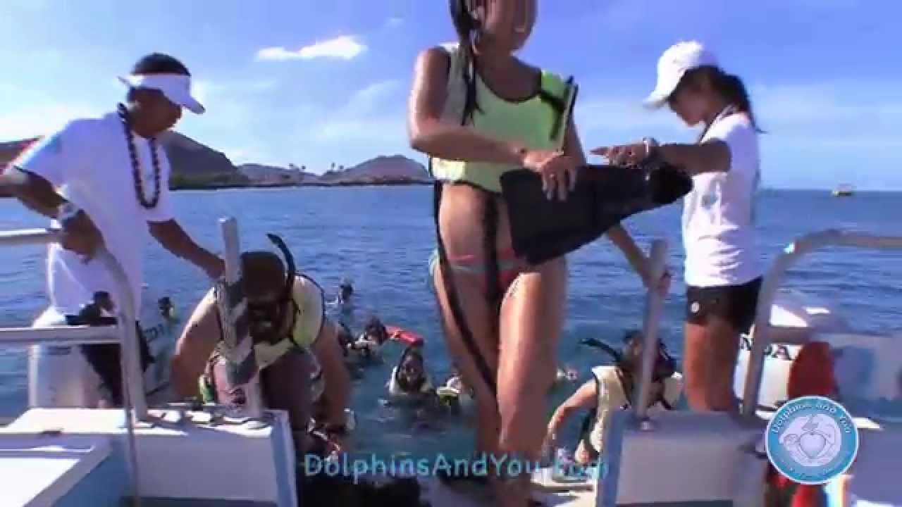 Welcome to Dolphins and You!