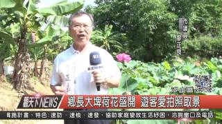 1060711觀天下新聞HD07 汐止區鄉長大埤荷花盛開 遊客愛拍照取景