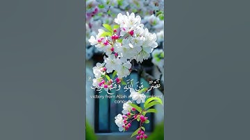 #قرآن #اكسبلور #تلاوات_خاشعة #قران_كريم #قران #love #لايك